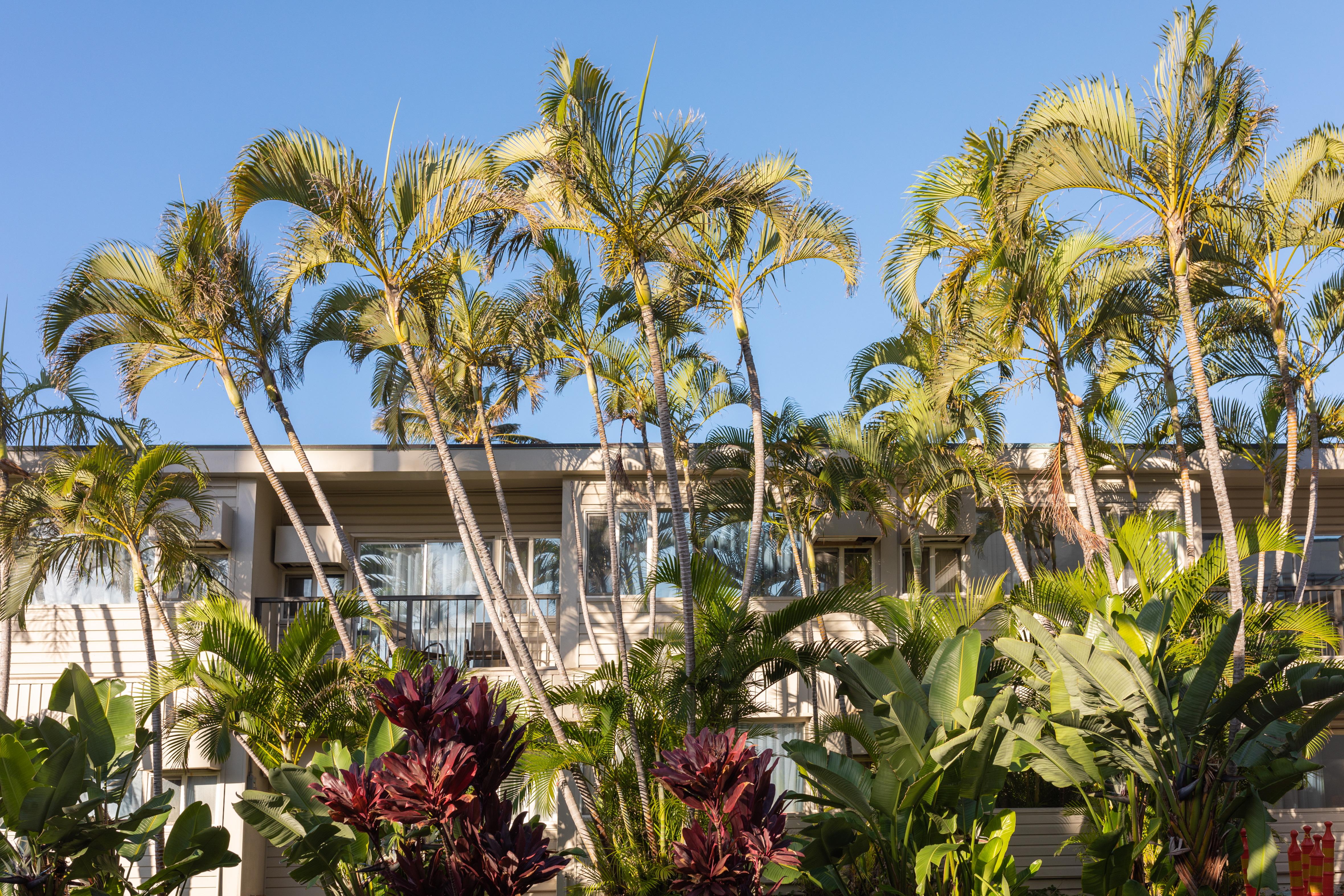 Maui Beach Hotel Kahului Exterior foto